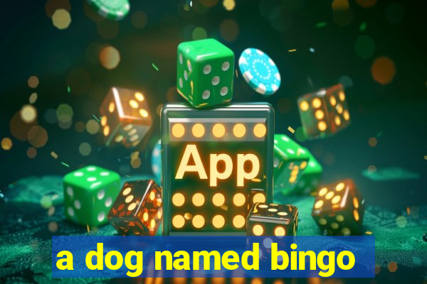 a dog named bingo