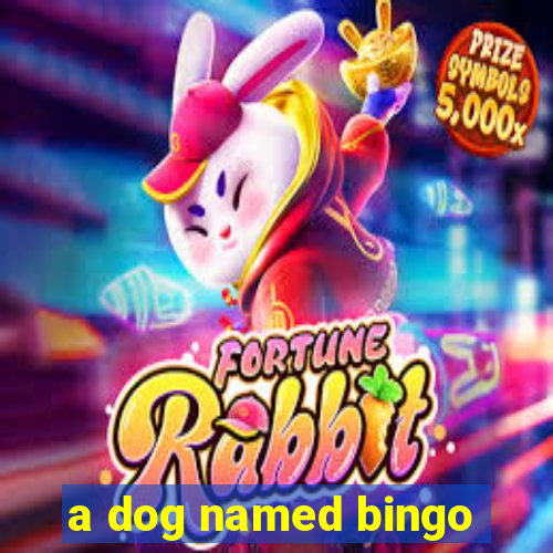 a dog named bingo