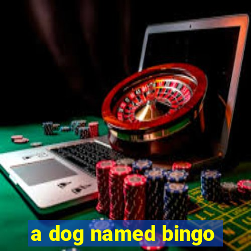 a dog named bingo