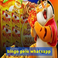 bingo pelo whatsapp