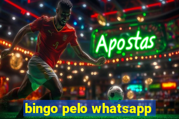 bingo pelo whatsapp