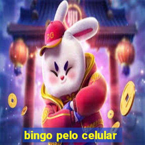 bingo pelo celular