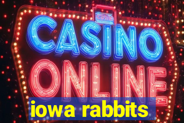 iowa rabbits