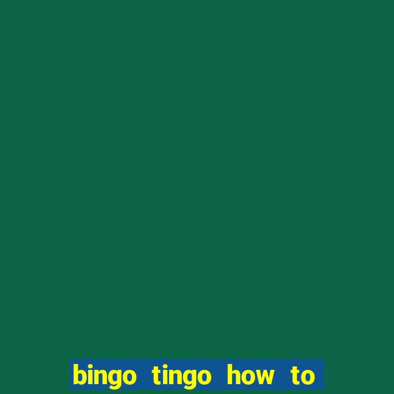 bingo tingo how to use canva