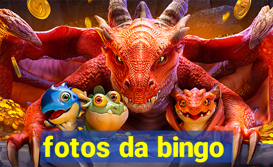 fotos da bingo