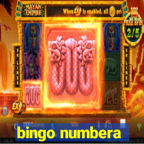 bingo numbera