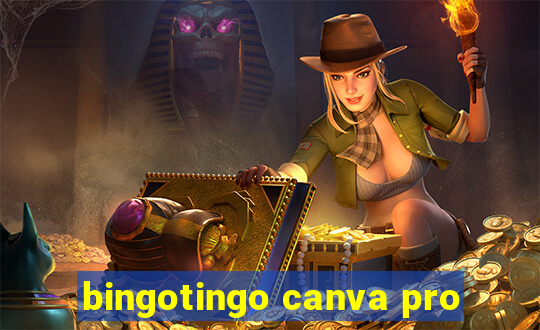 bingotingo canva pro