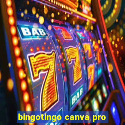 bingotingo canva pro