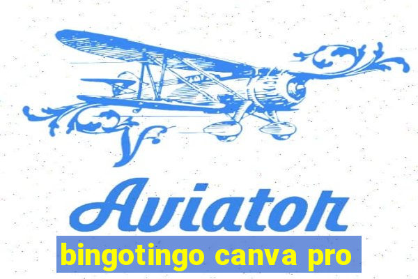 bingotingo canva pro