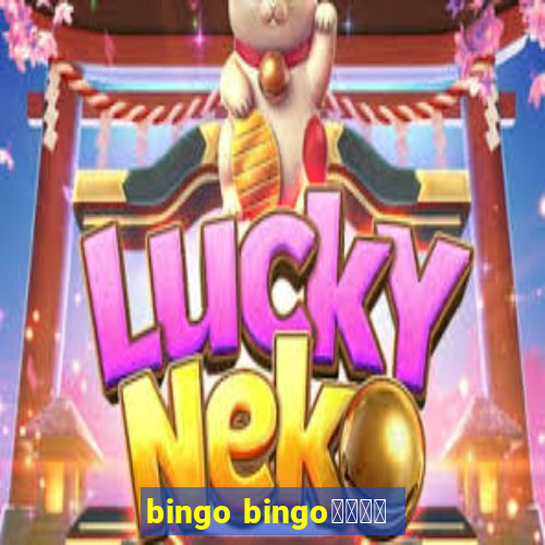 bingo bingo線上投注