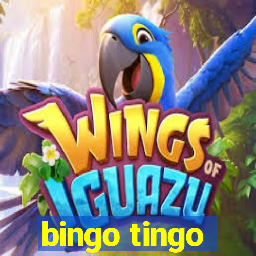 bingo tingo