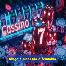 bingo è maschio o femmina