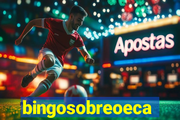 bingosobreoeca