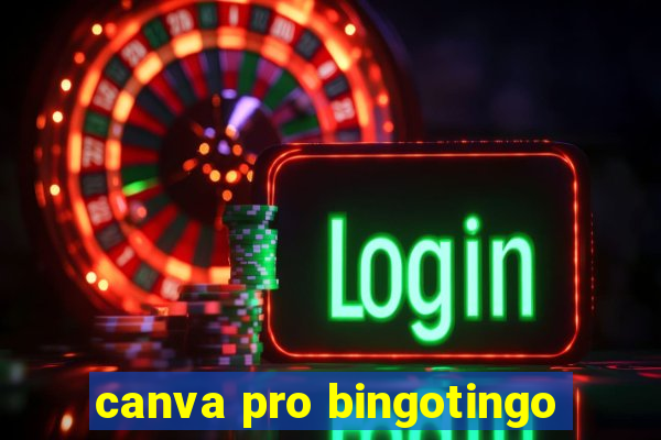 canva pro bingotingo