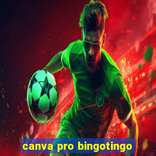 canva pro bingotingo