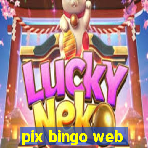 pix bingo web