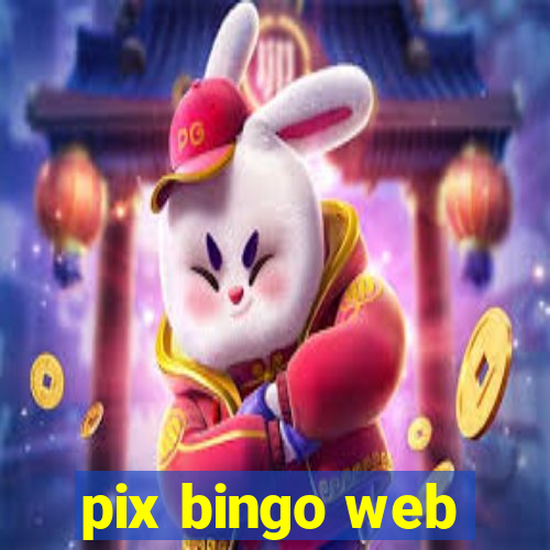 pix bingo web