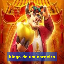 bingo de um carneiro