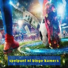 spelpunt nl bingo kamers