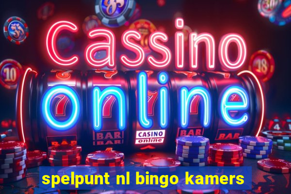 spelpunt nl bingo kamers