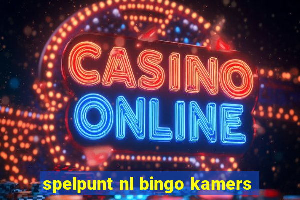 spelpunt nl bingo kamers