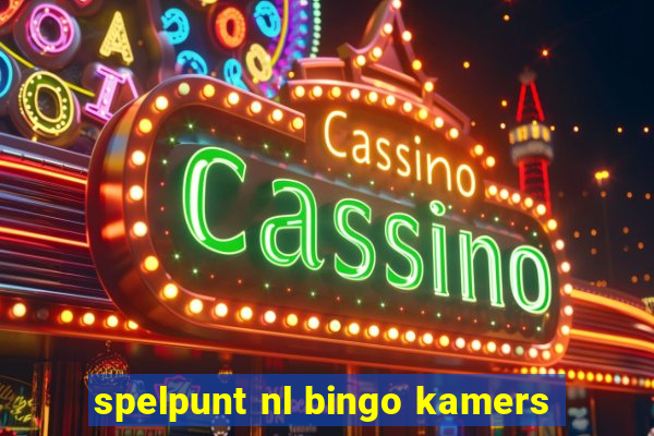 spelpunt nl bingo kamers