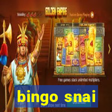 bingo snai