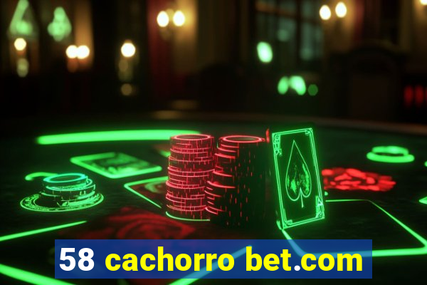 58 cachorro bet.com