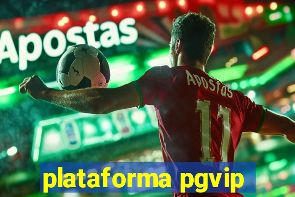 plataforma pgvip