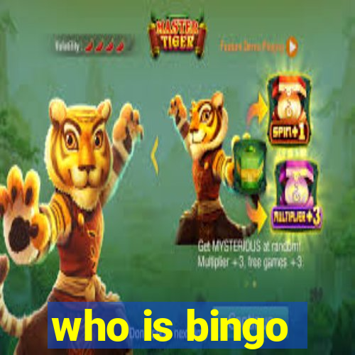 who is bingo