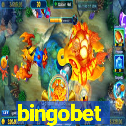 bingobet