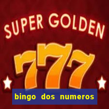 bingo dos numeros de 1 a 30